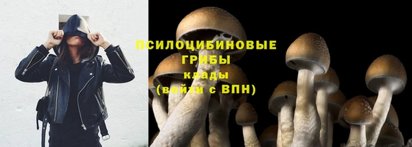 таблы Кукмор