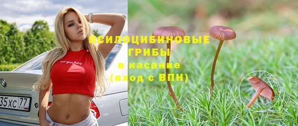гидра Ладушкин