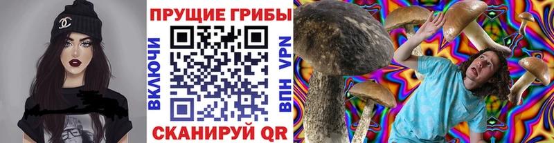 Купить закладки Белая Холуница Псилоцибиновые грибы мухоморы